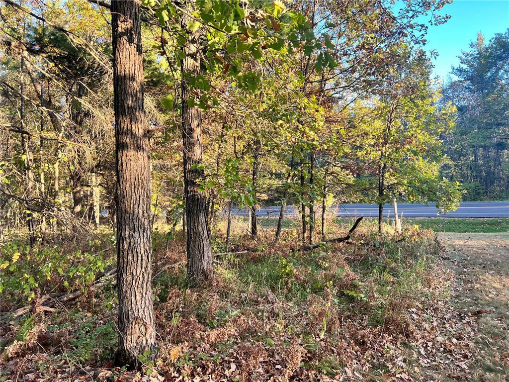 TBD* Steamboat Loop Walker MN 56484 6800955 image4