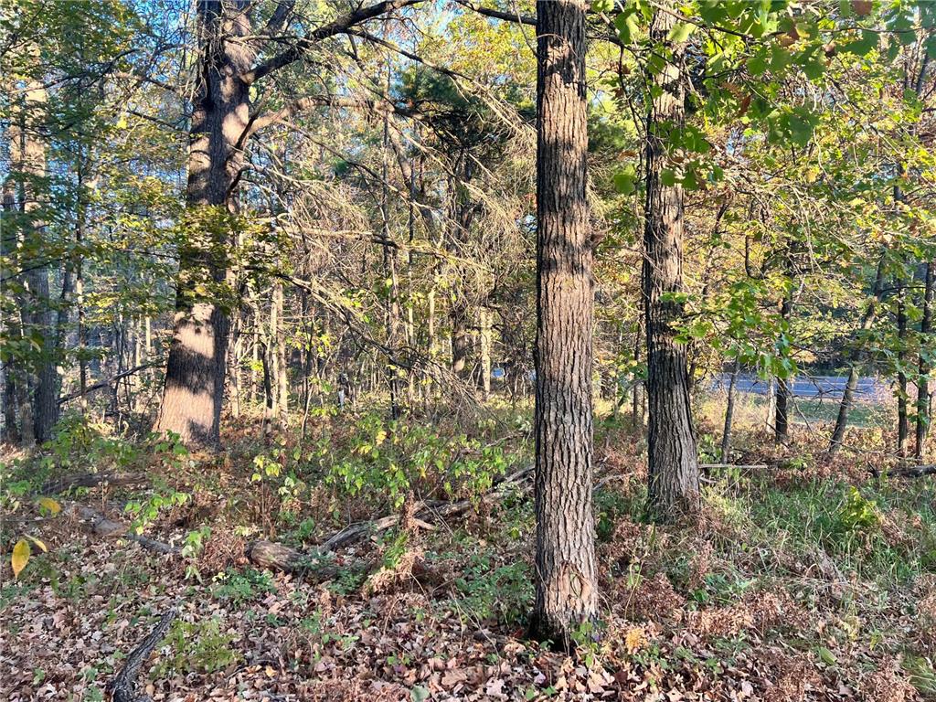 TBD* Steamboat Loop Walker MN 56484 6800955 image5