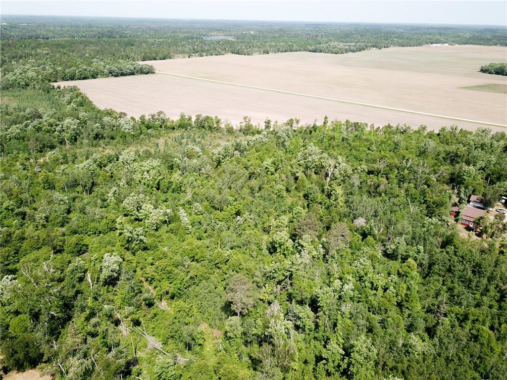 TBD Stone Lake Road SW Grant Valley Twp MN 56601 7089420 image12