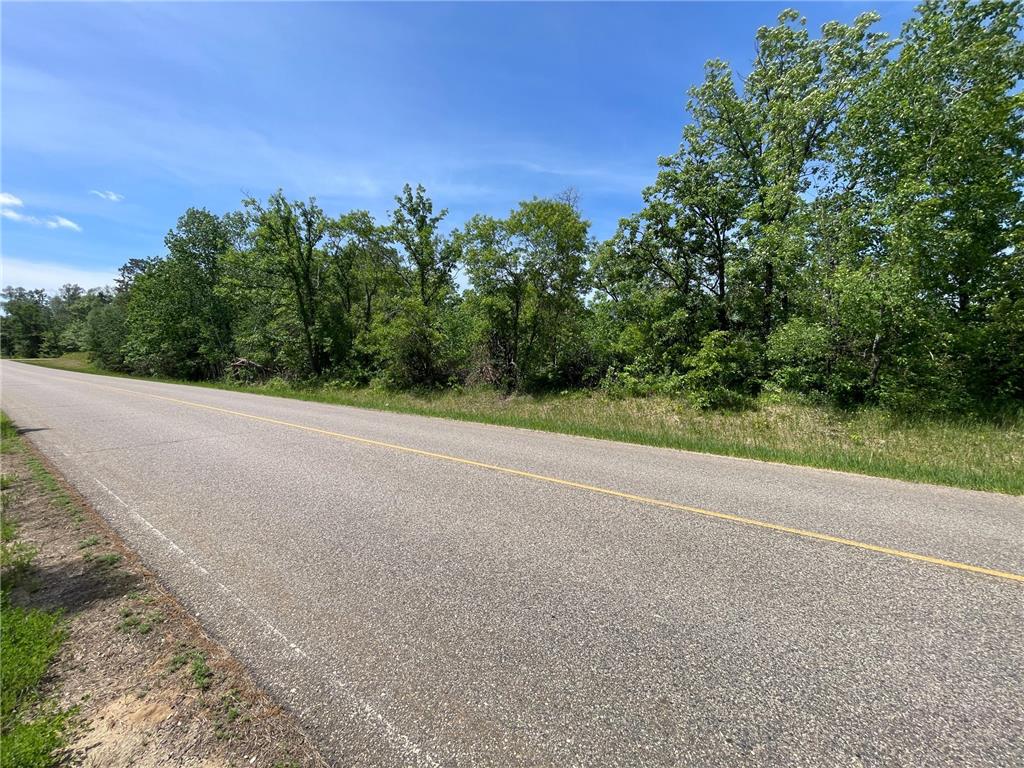 TBD Stone Lake Road SW Grant Valley Twp MN 56601 7089420 image14
