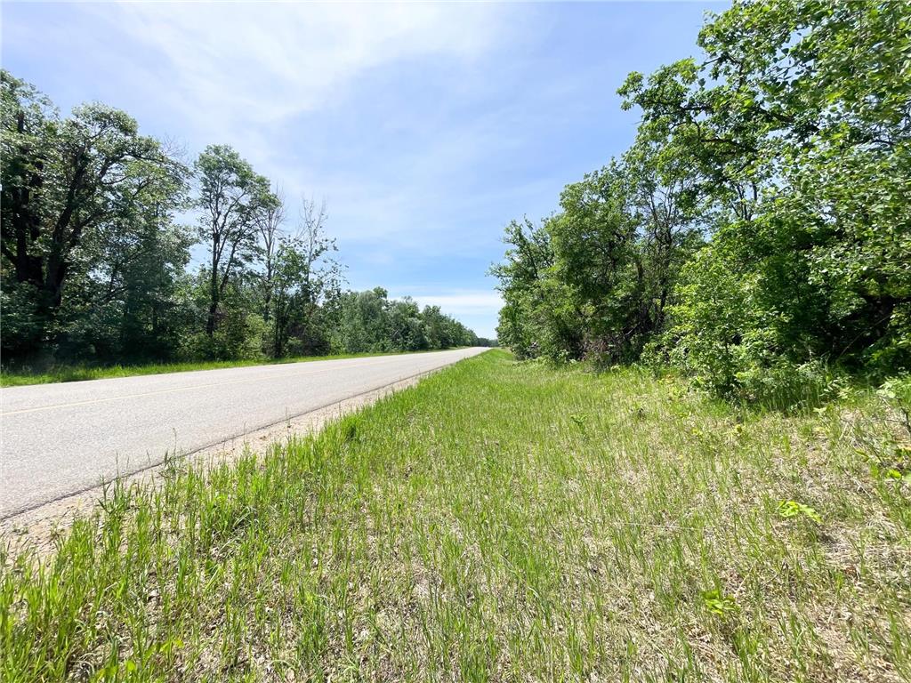 TBD Stone Lake Road SW Grant Valley Twp MN 56601 7089420 image15