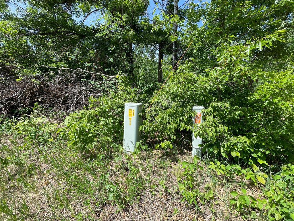 TBD Stone Lake Road SW Grant Valley Twp MN 56601 7089420 image16