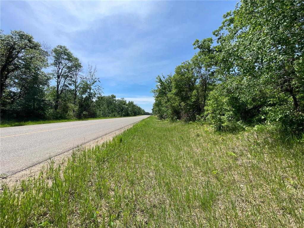 TBD Stone Lake Road SW Grant Valley Twp MN 56601 7089420 image17
