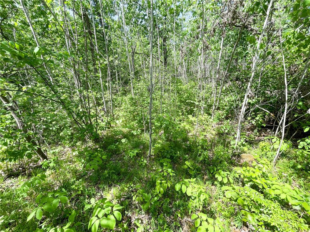 TBD Stone Lake Road SW Grant Valley Twp MN 56601 7089420 image18