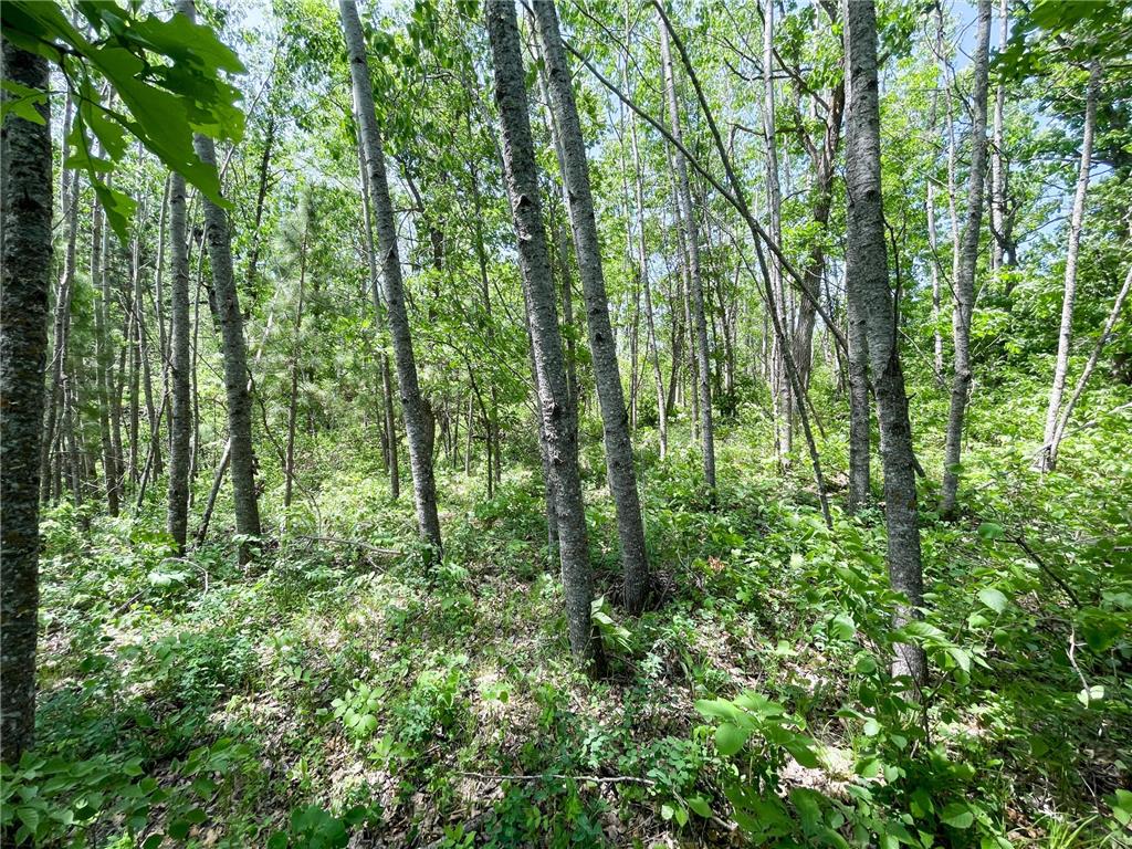 TBD Stone Lake Road SW Grant Valley Twp MN 56601 7089420 image21