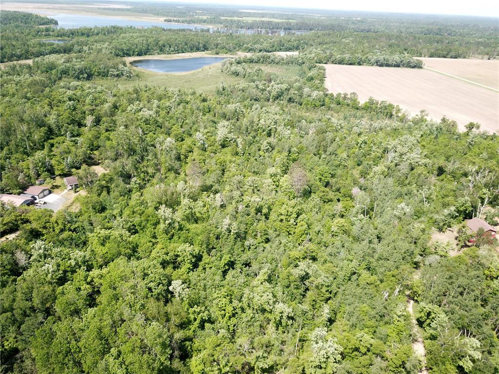TBD Stone Lake Road SW Grant Valley Twp MN 56601 7089420 image7