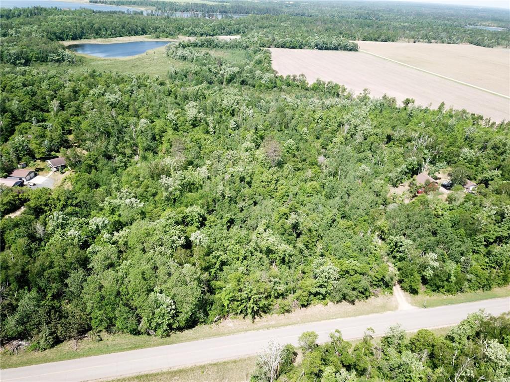 TBD Stone Lake Road SW Grant Valley Twp MN 56601 7089420 image8