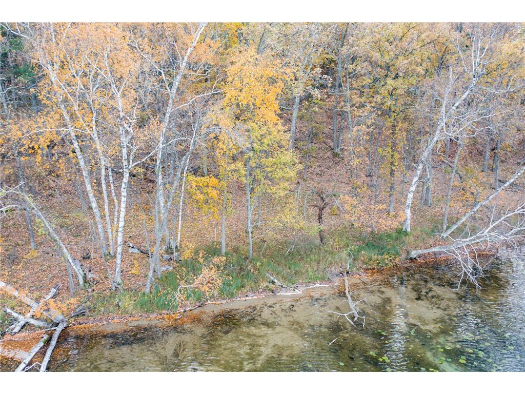 TBD Strawberry Lake Road Pequot Lakes MN 56472 - KIMBALL 6581427 image7