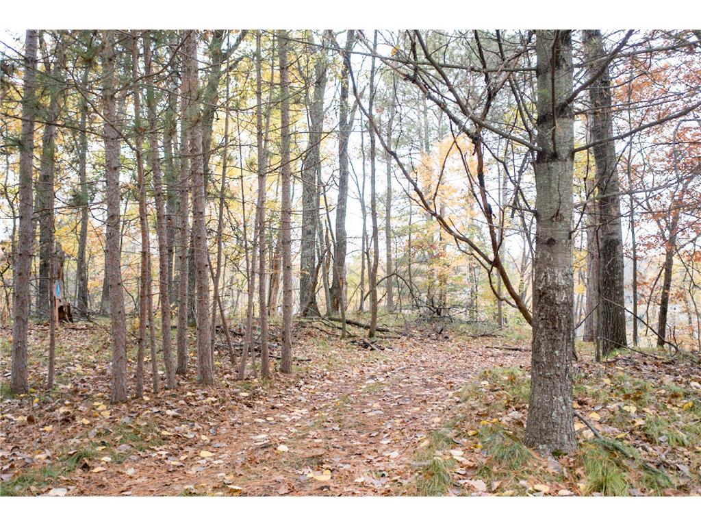 TBD Strawberry Lake Road Pequot Lakes MN 56472 - KIMBALL 6581427 image9