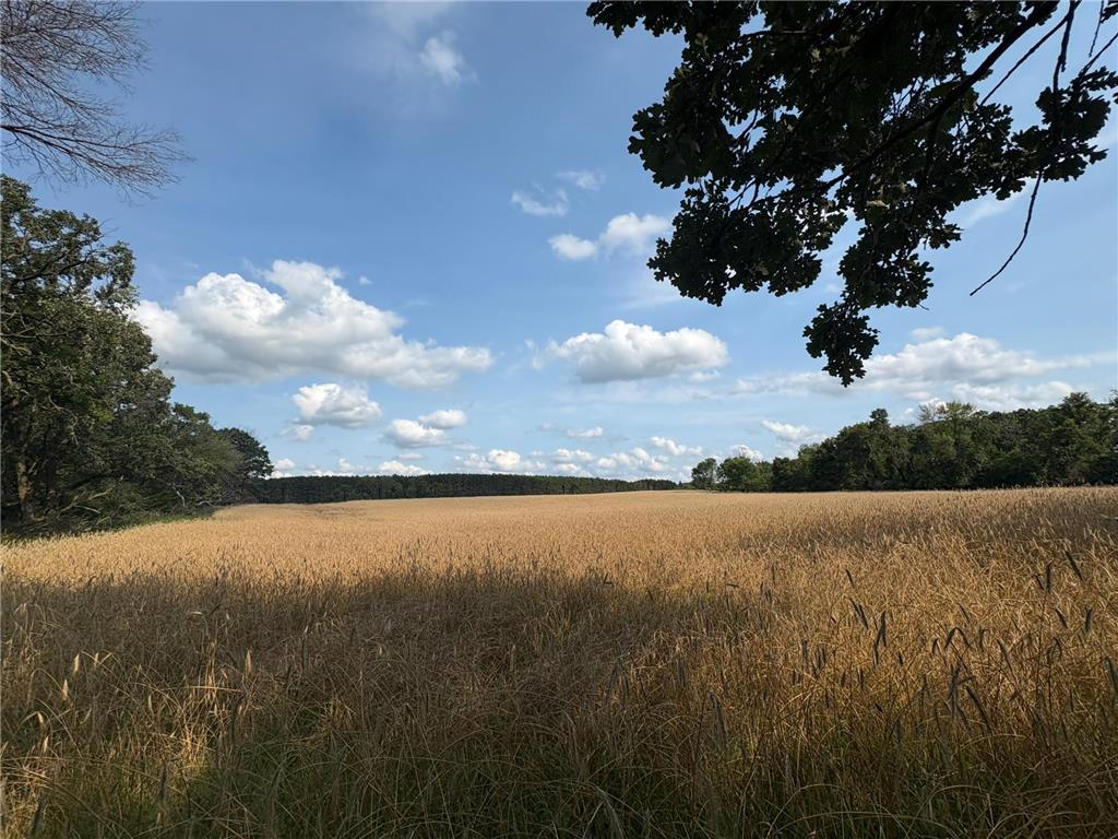 TBD Strike Boulevard NW Isanti MN 55040 6763881 image1