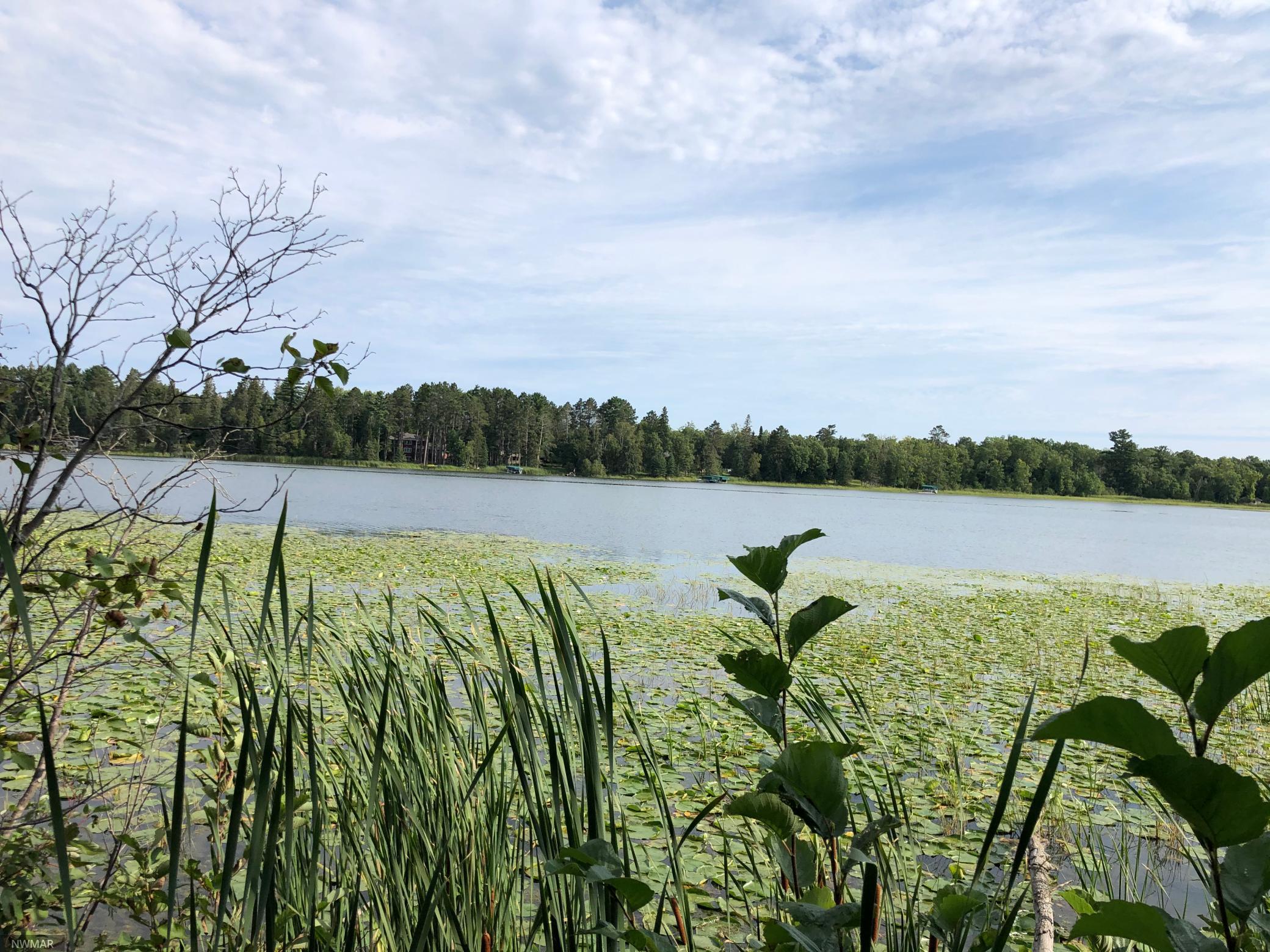 TBD Stump Lake Road NE, Frohn Twp, MN 56601 MLS 5649158 Edina Realty