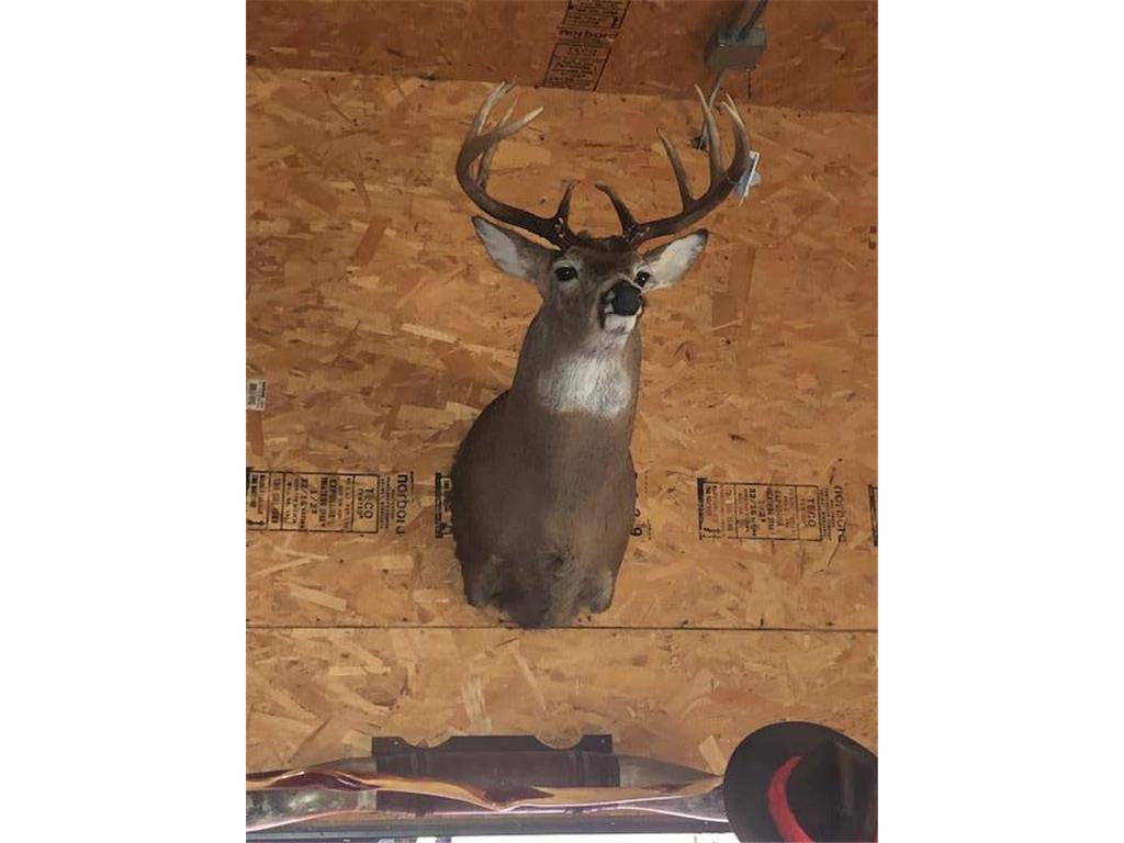 TBD Sunny Acres Road NE Belle River Twp MN 56355 6765868 image13