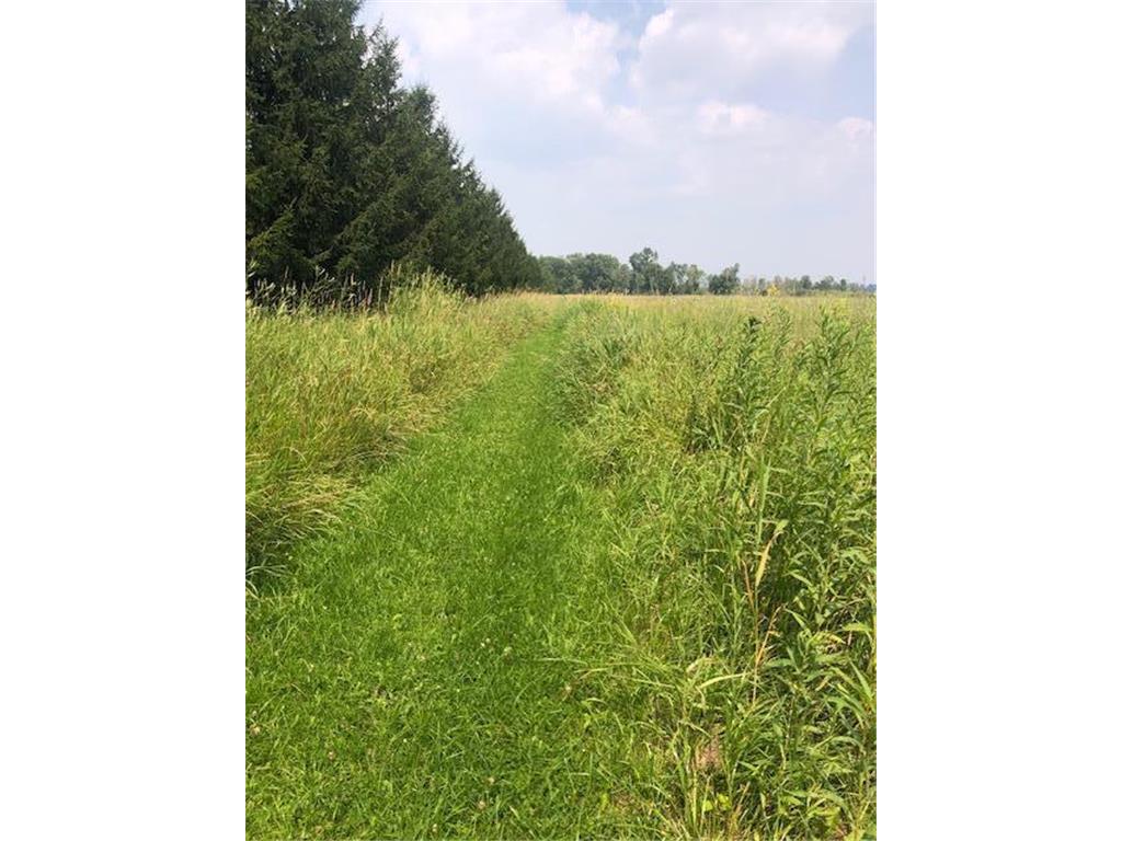 TBD Sunny Acres Road NE Belle River Twp MN 56355 6765868 image2
