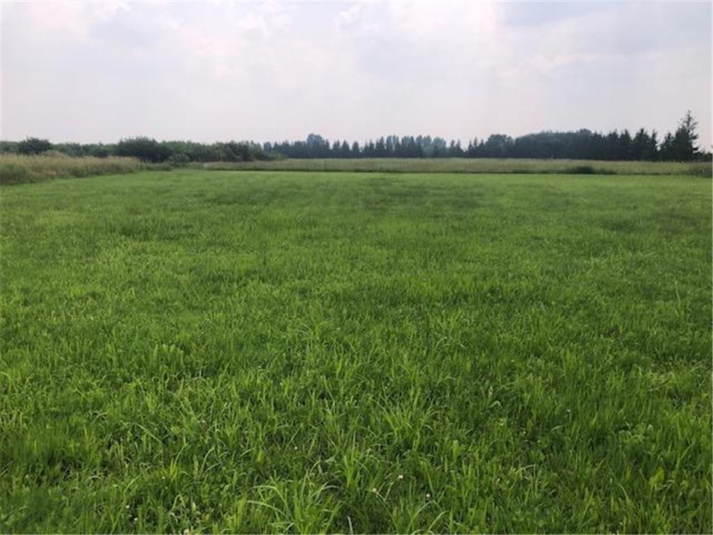 TBD Sunny Acres Road NE Belle River Twp MN 56355 6765868 image3