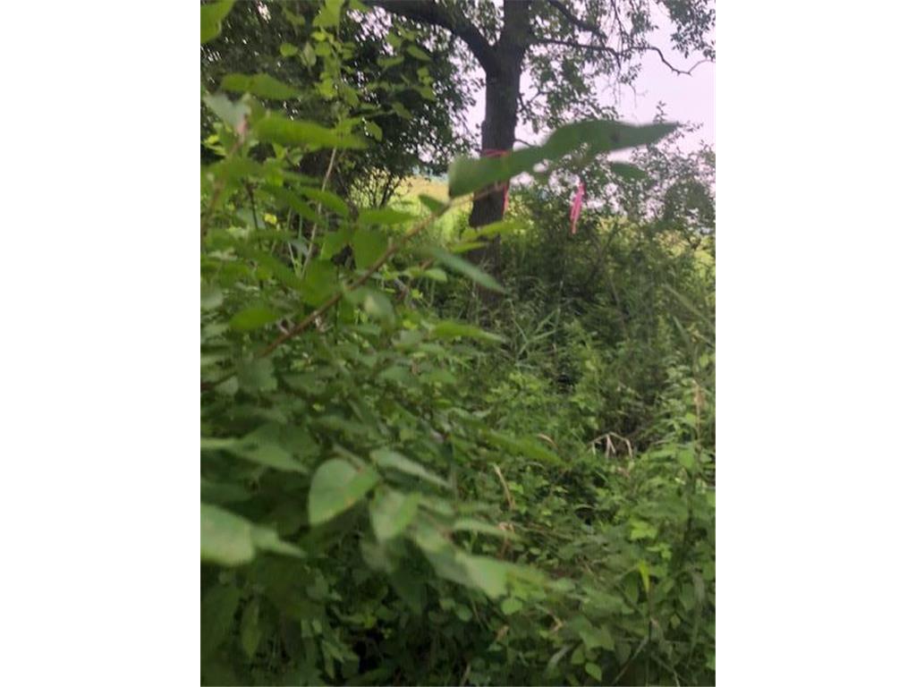 TBD Sunny Acres Road NE Belle River Twp MN 56355 6765868 image4