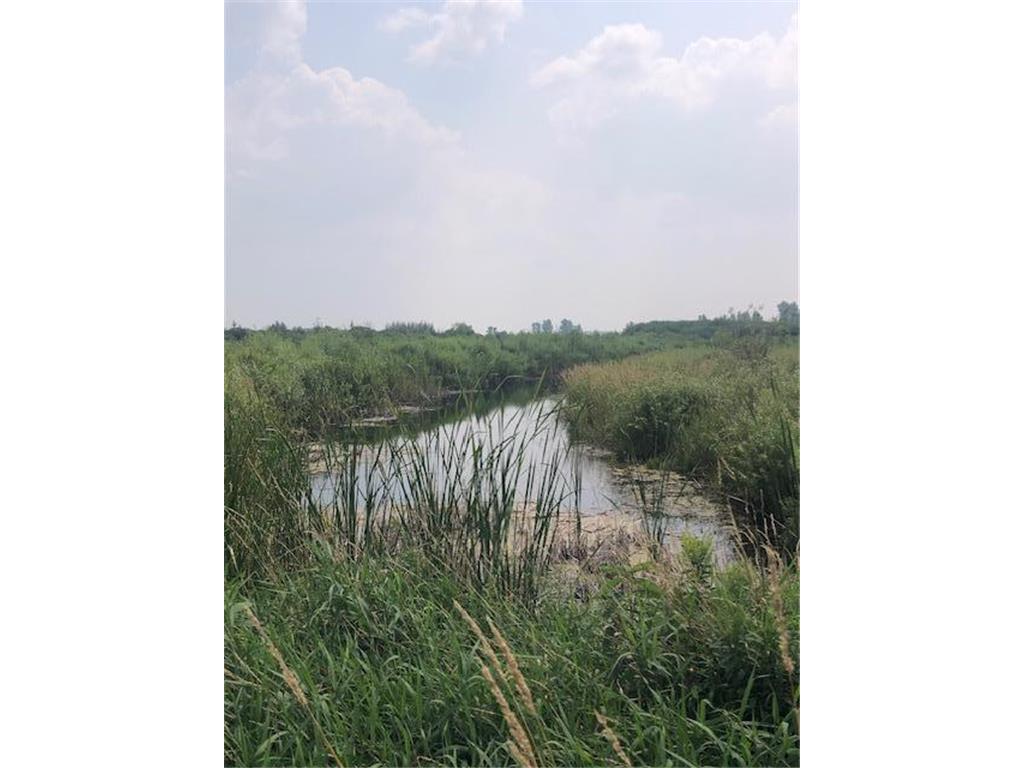 TBD Sunny Acres Road NE Belle River Twp MN 56355 6765868 image5