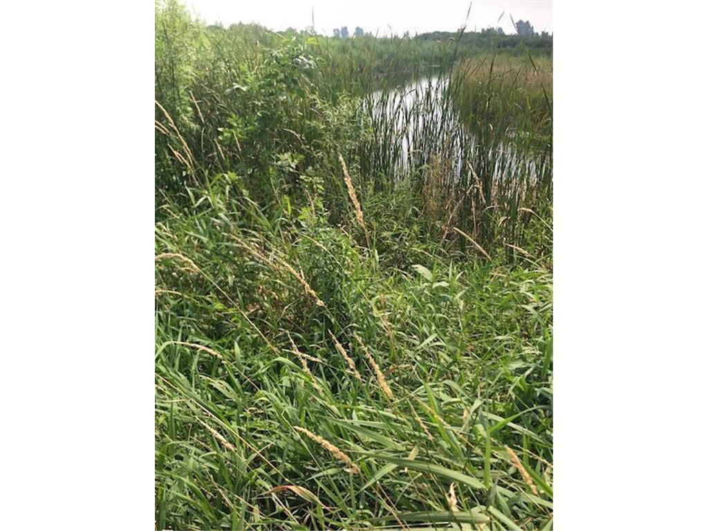 TBD Sunny Acres Road NE Belle River Twp MN 56355 6765868 image6