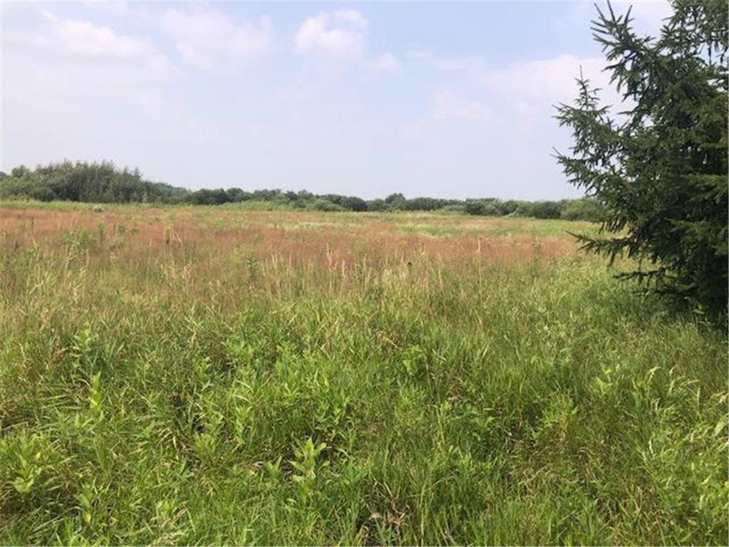 TBD Sunny Acres Road NE Belle River Twp MN 56355 6765868 image9