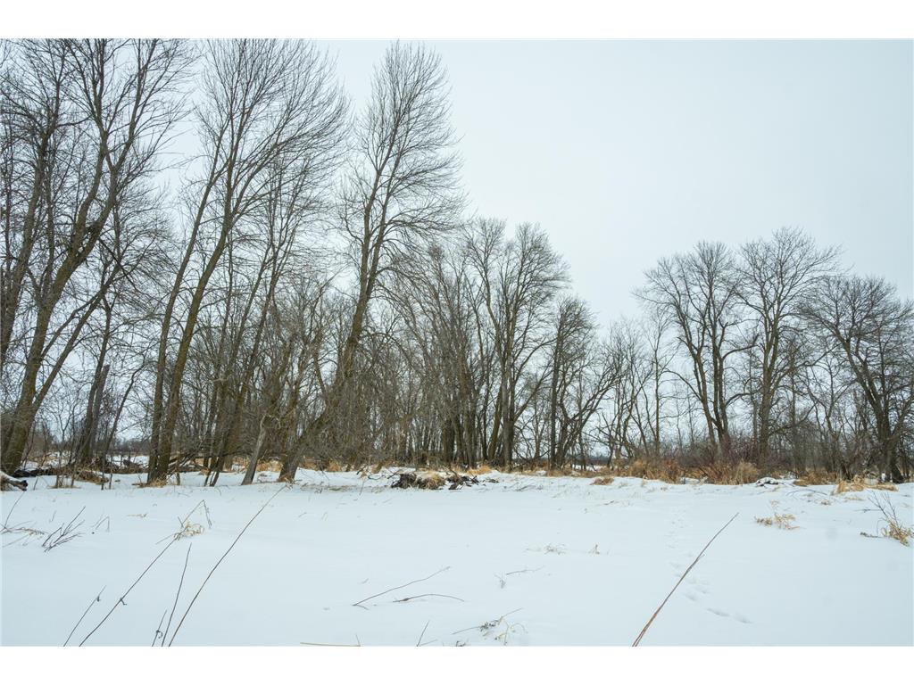 TBD Sunny Acres Road NE Belle River Twp MN 56355 7018528 image32