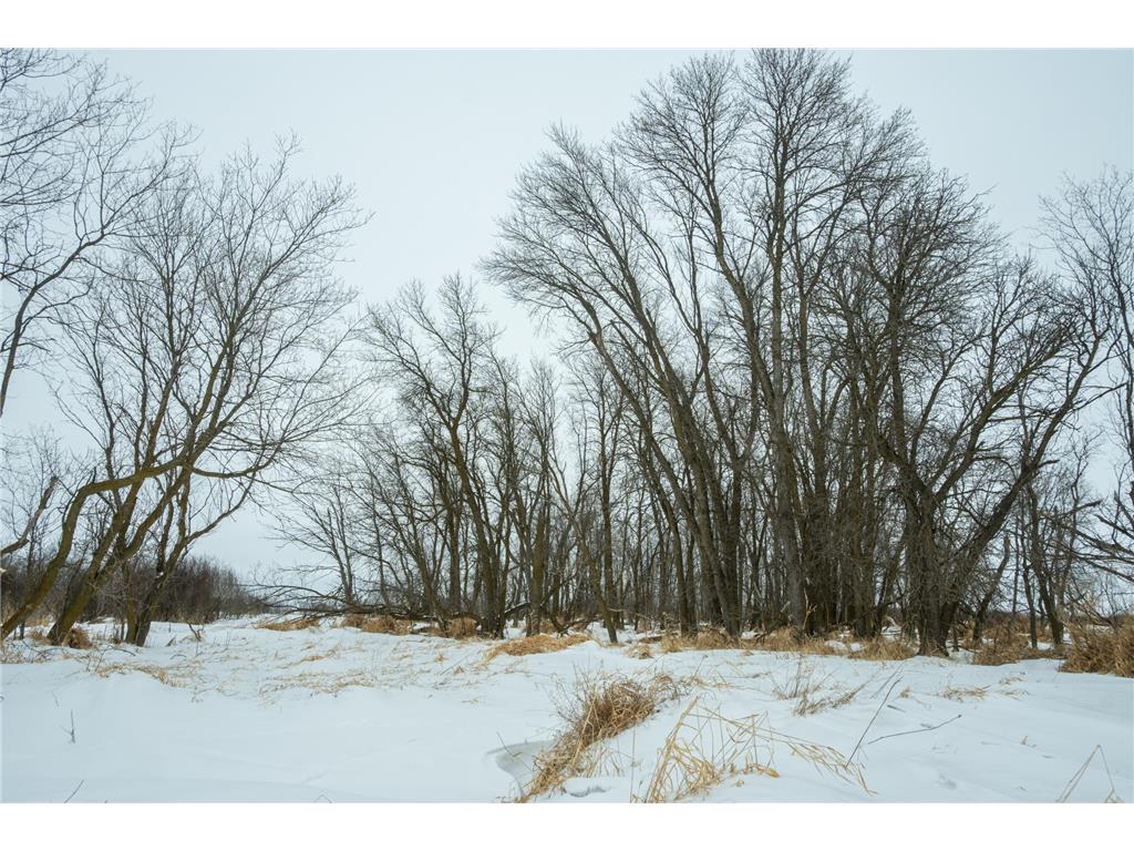 TBD Sunny Acres Road NE Belle River Twp MN 56355 7018528 image33