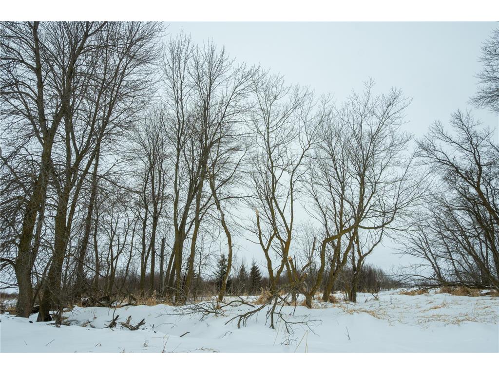 TBD Sunny Acres Road NE Belle River Twp MN 56355 7018528 image34