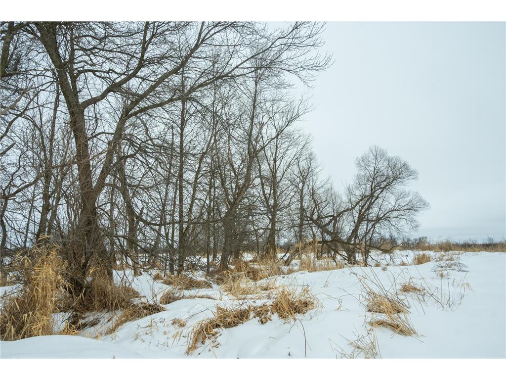 TBD Sunny Acres Road NE Belle River Twp MN 56355 7018528 image35