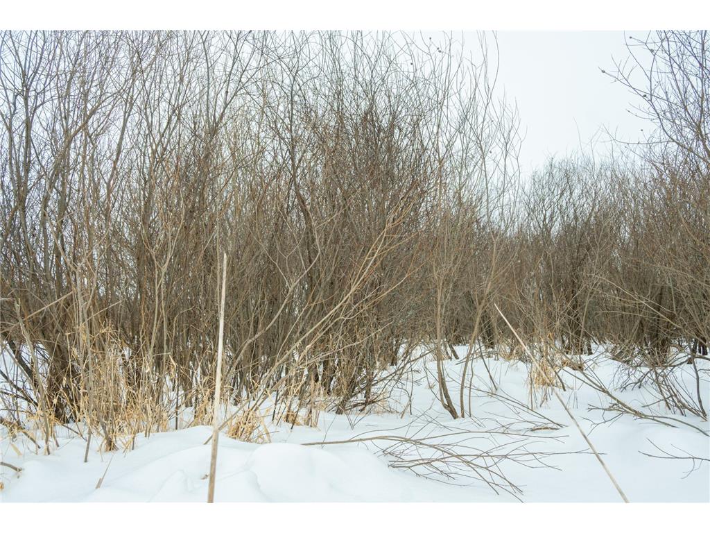 TBD Sunny Acres Road NE Belle River Twp MN 56355 7018528 image42