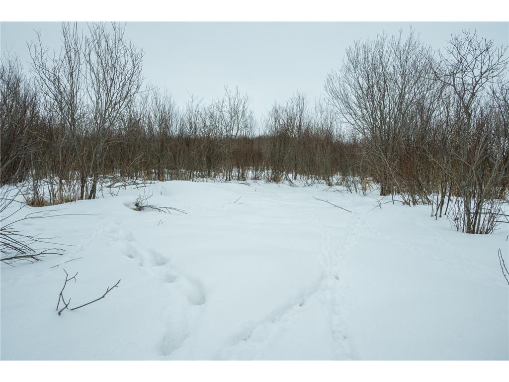 TBD Sunny Acres Road NE Belle River Twp MN 56355 7018528 image46