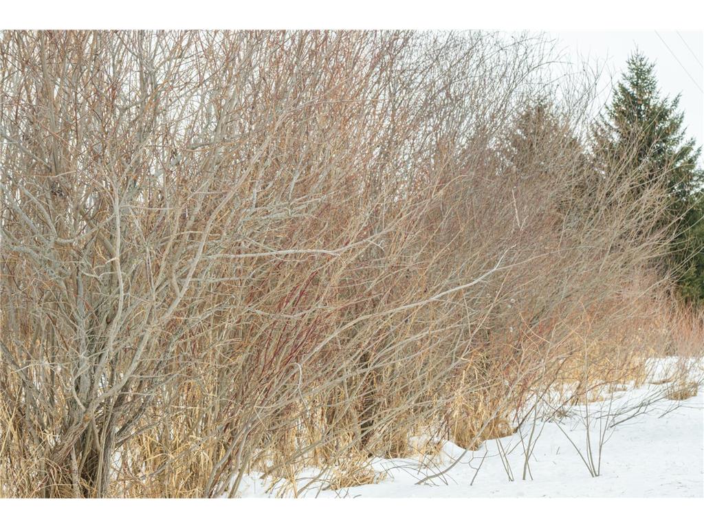 TBD Sunny Acres Road NE Belle River Twp MN 56355 7018528 image54