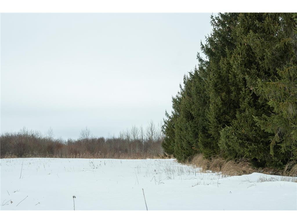 TBD Sunny Acres Road NE Belle River Twp MN 56355 7018528 image55