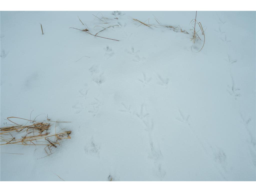 TBD Sunny Acres Road NE Belle River Twp MN 56355 7018528 image59