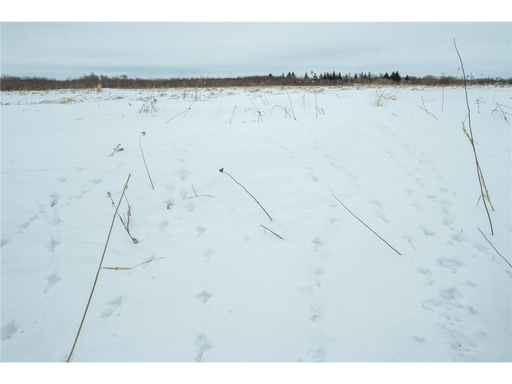 TBD Sunny Acres Road NE Belle River Twp MN 56355 7018528 image60