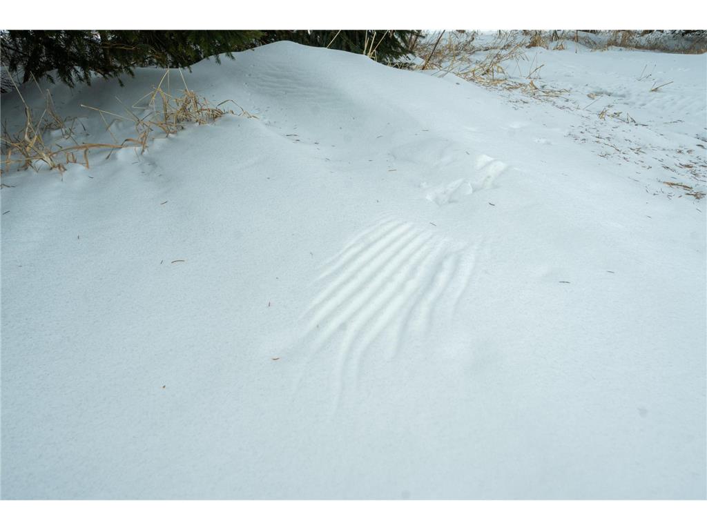 TBD Sunny Acres Road NE Belle River Twp MN 56355 7018528 image61