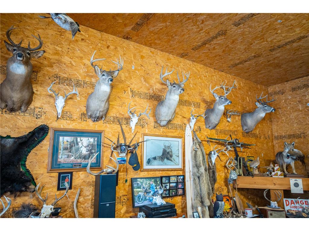 TBD Sunny Acres Road NE Belle River Twp MN 56355 7018528 image62