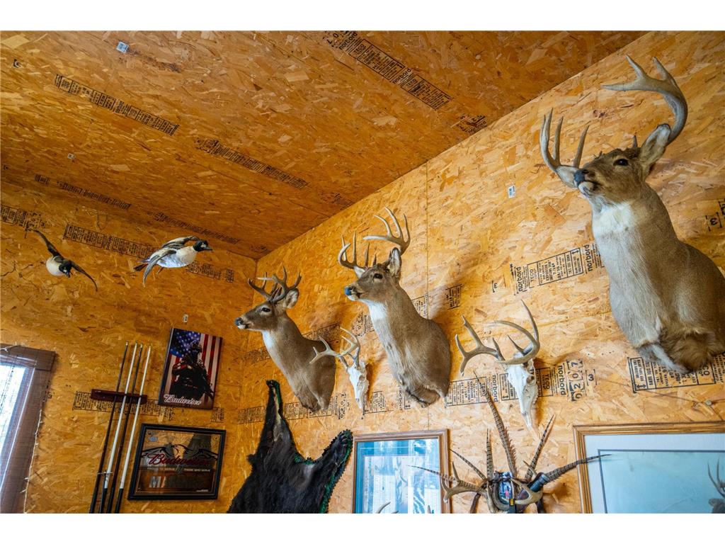 TBD Sunny Acres Road NE Belle River Twp MN 56355 7018528 image63