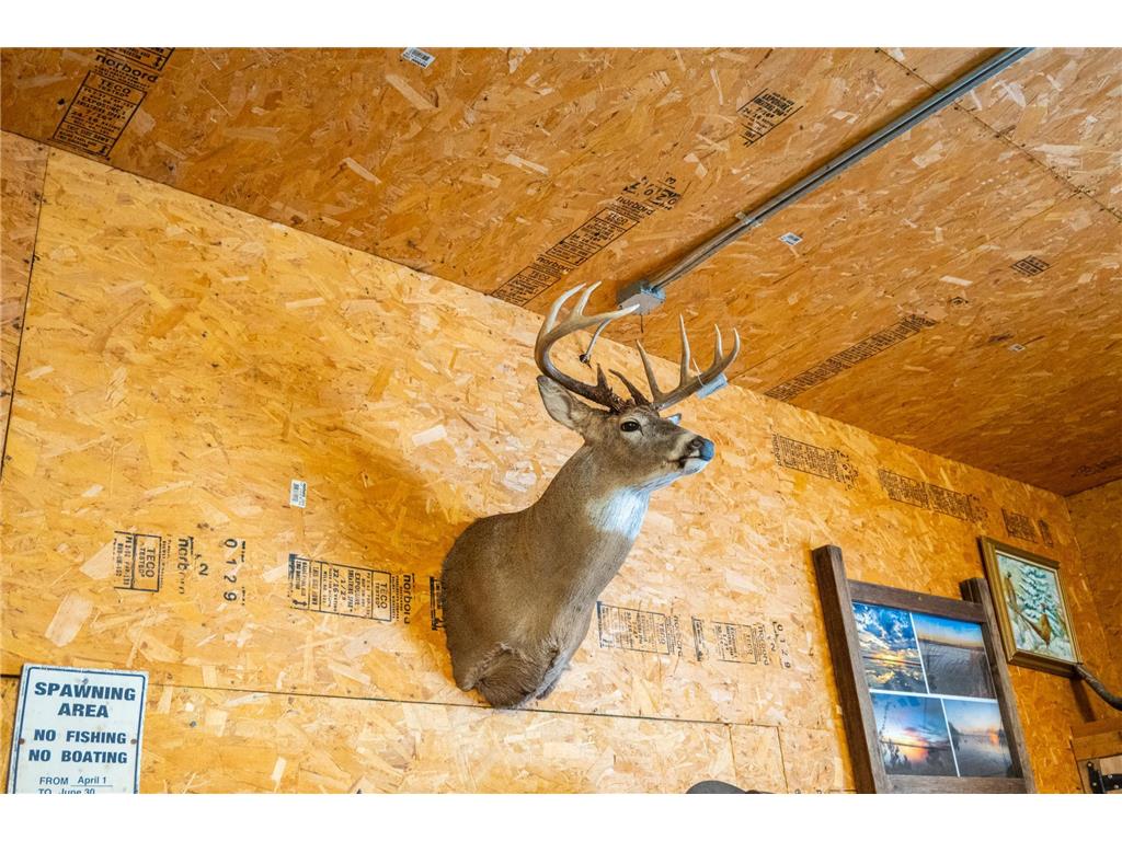 TBD Sunny Acres Road NE Belle River Twp MN 56355 7018528 image64