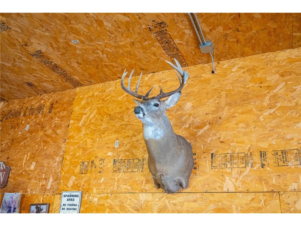 TBD Sunny Acres Road NE Belle River Twp MN 56355 7018528 image65