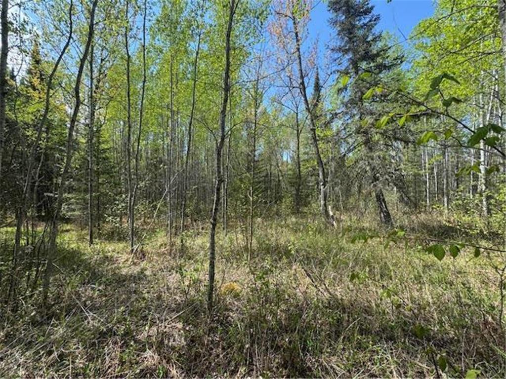 TBD Sunset Lake Drive Saginaw MN 55779 6722303 image16