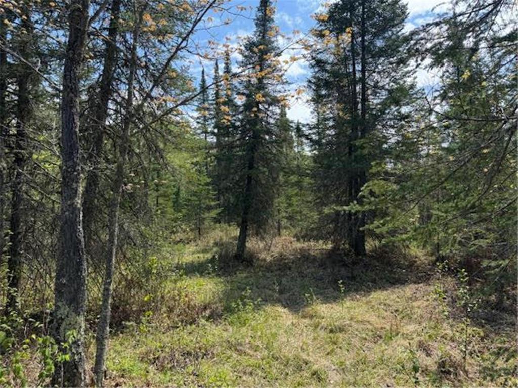 TBD Sunset Lake Drive Saginaw MN 55779 6722303 image18