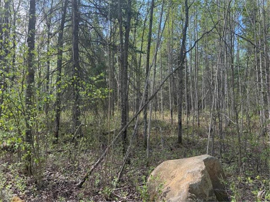 TBD Sunset Lake Drive Saginaw MN 55779 6722303 image19