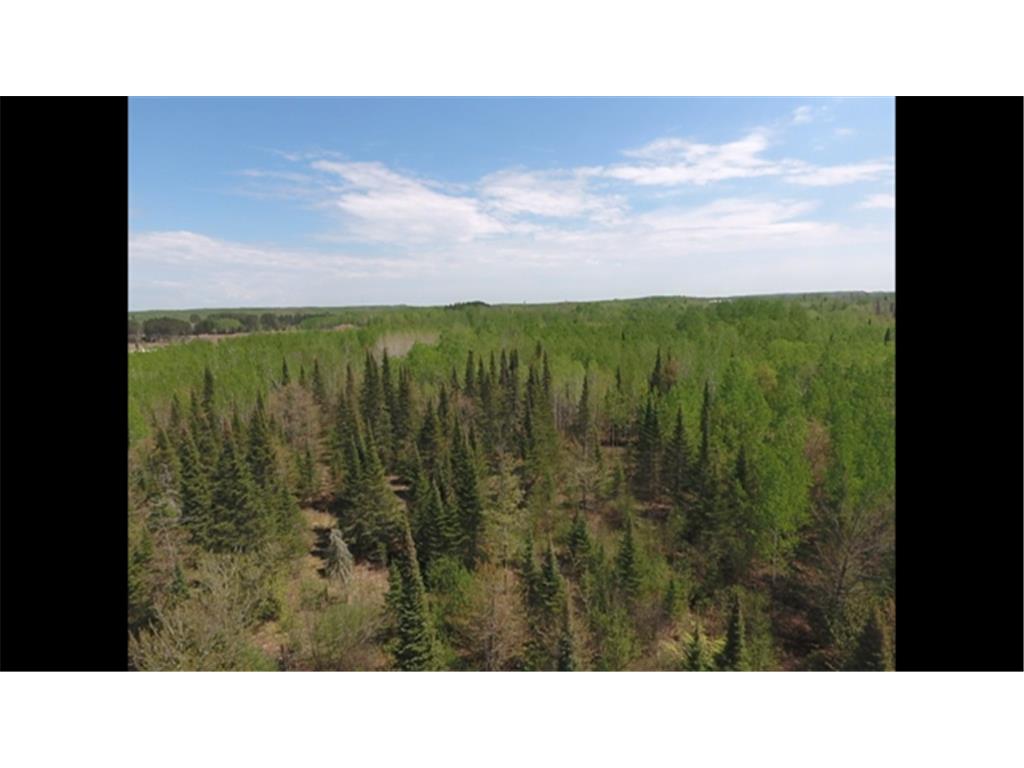 TBD Sunset Lake Drive Saginaw MN 55779 6722303 image4