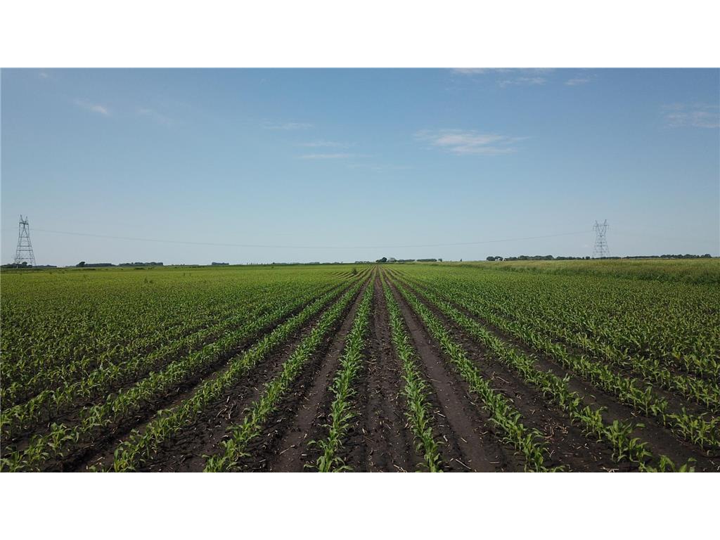 TBD T-182 Logan Twp MN 56248 6791559 image1