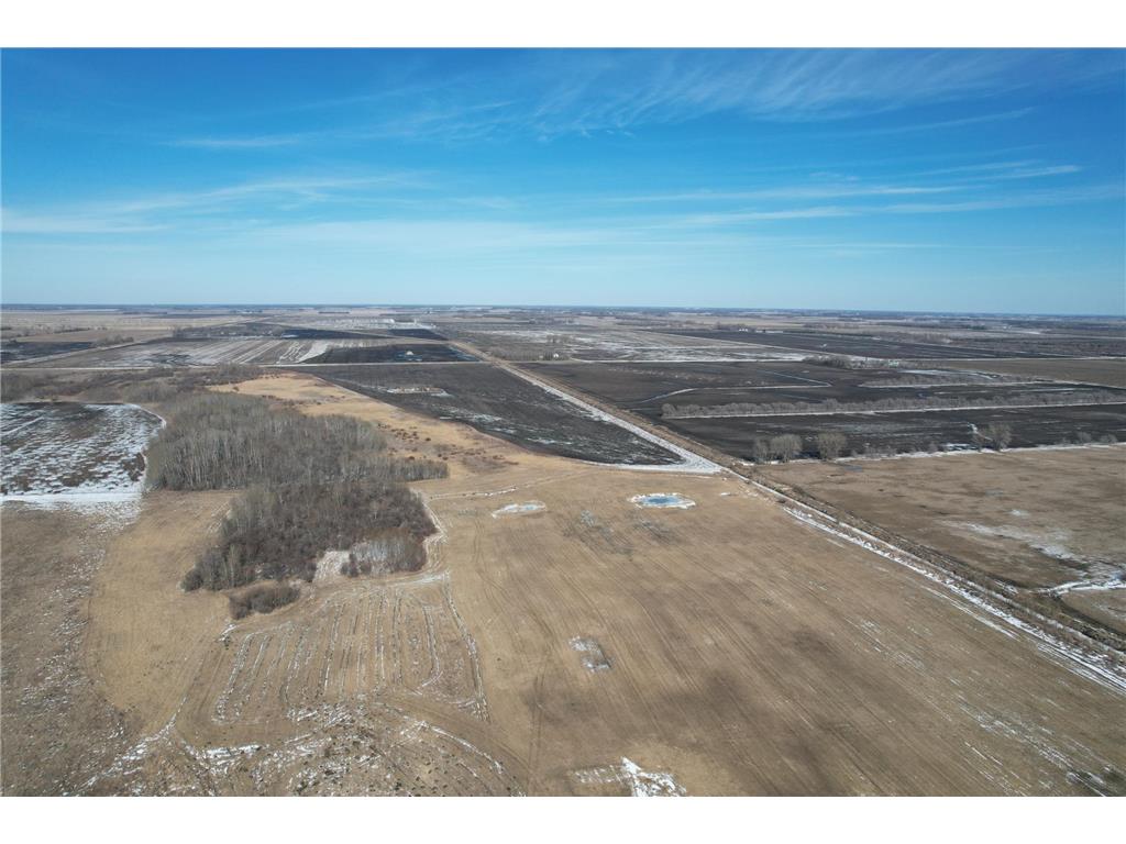 TBD TBD 270th st Strand Twp MN 56545 6498401 image1
