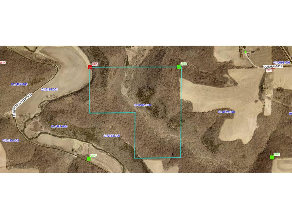 TBD TBD Black Hammer Twp MN 55974 6734056 image1