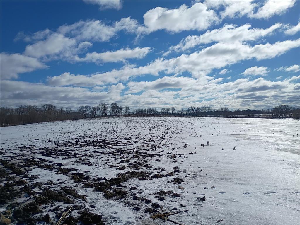 TBD & TBD County Rd. 8 Waverly MN 55390 7018187 image2