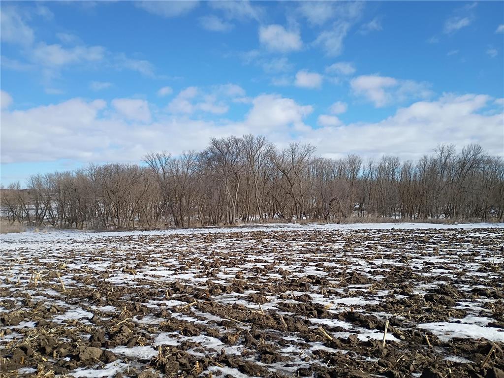 TBD & TBD County Rd. 8 Waverly MN 55390 7018187 image6