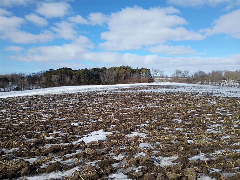 TBD & TBD County Rd. 8 Waverly MN 55390 7018187 image7