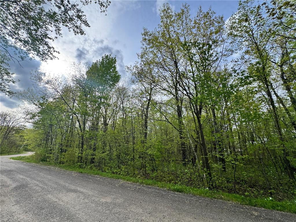 TBD TBD Garrison MN 56450 7025012 image12