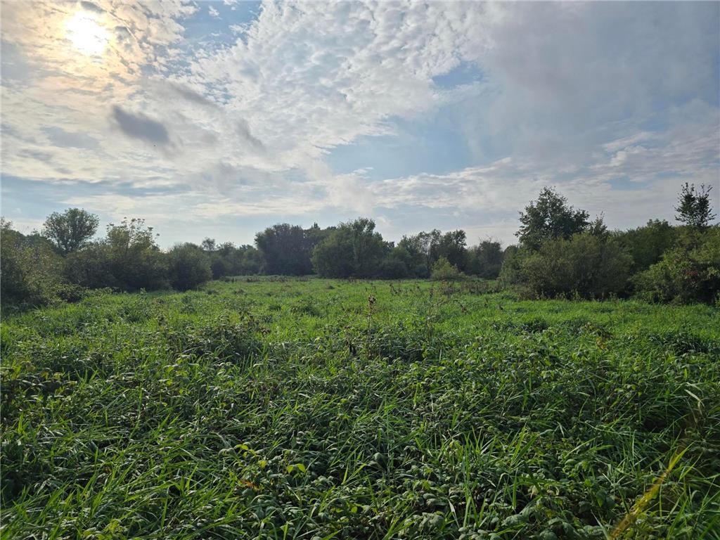 TBD TBD Ham Lake MN 55304 6818145 image2