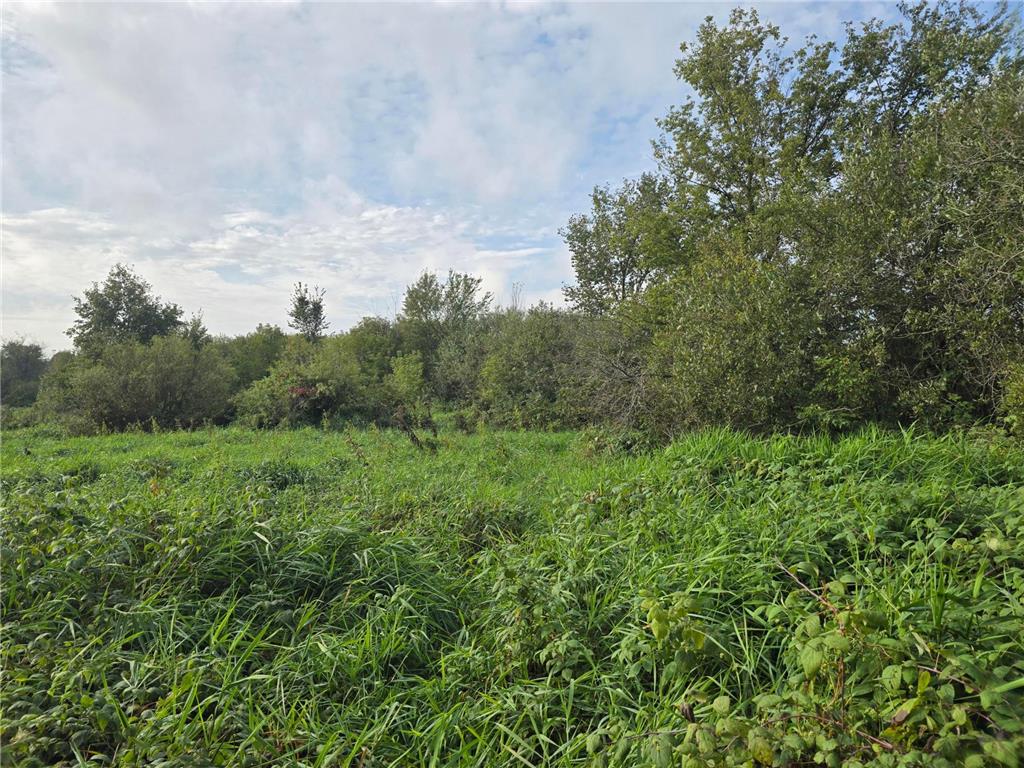 TBD TBD Ham Lake MN 55304 6818145 image3